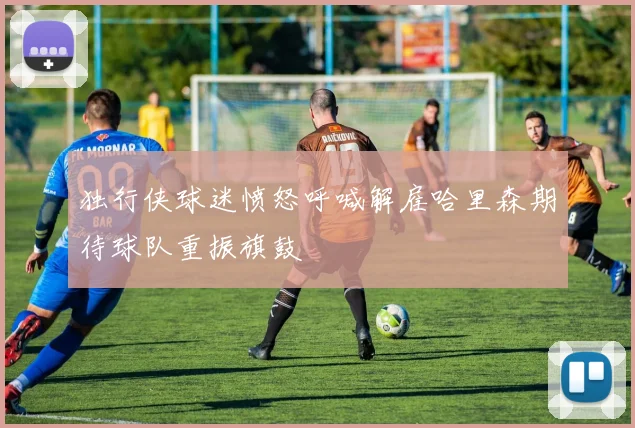 独行侠球迷愤怒呼喊解雇哈里森期待球队重振旗鼓